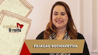 Explica Direito Filiação Socioafetiva  2019 [upl. by Arelc]