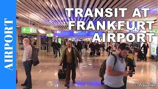 TRANSIT WALK AT FRANKFURT Airport FRA Terminal 1  Connection Flight Transfer Arriving amp Departing [upl. by Uriiah]